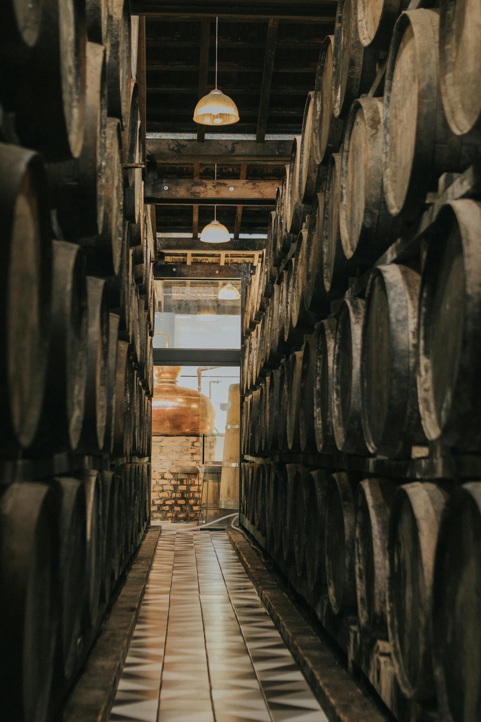 Guía de Bodegas Centenarias en Haro: Qué Visitar desde Palacio de Manzanos