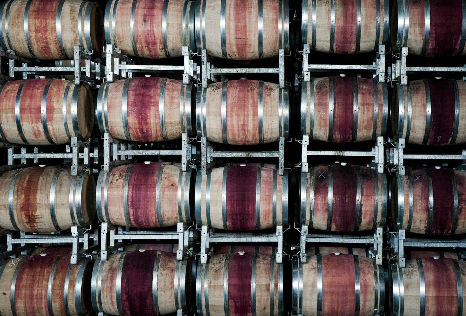 Guía de Bodegas Centenarias en Haro: Cuáles Visitar (y en qué Orden) desde el Palacio de Manzanos