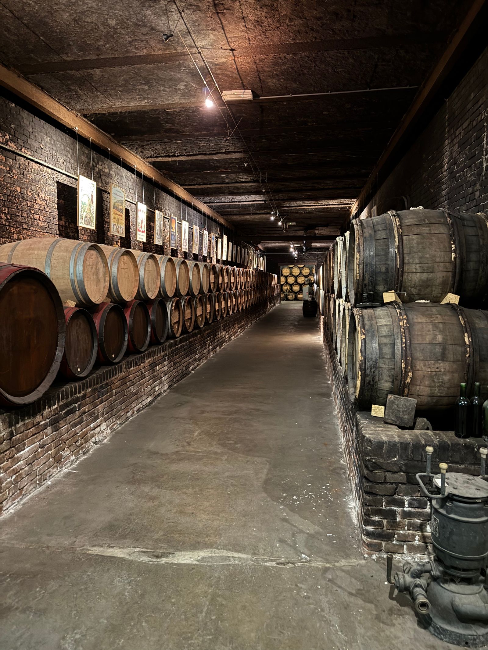 Guía de Bodegas Centenarias en Haro: Qué Visitar desde Palacio de Manzanos
